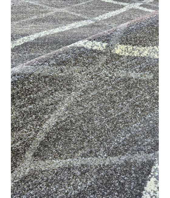 PARANA – BAK, SIVI